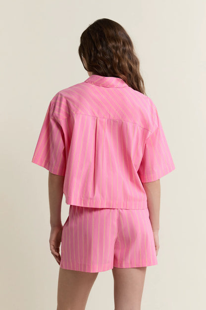 PRINT. PINK BACKGR
