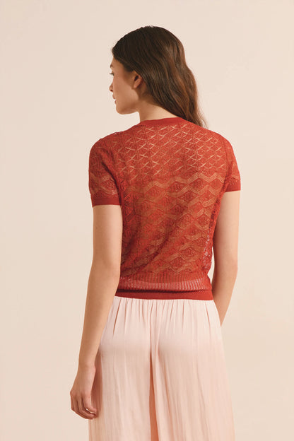 TERRACOTTA