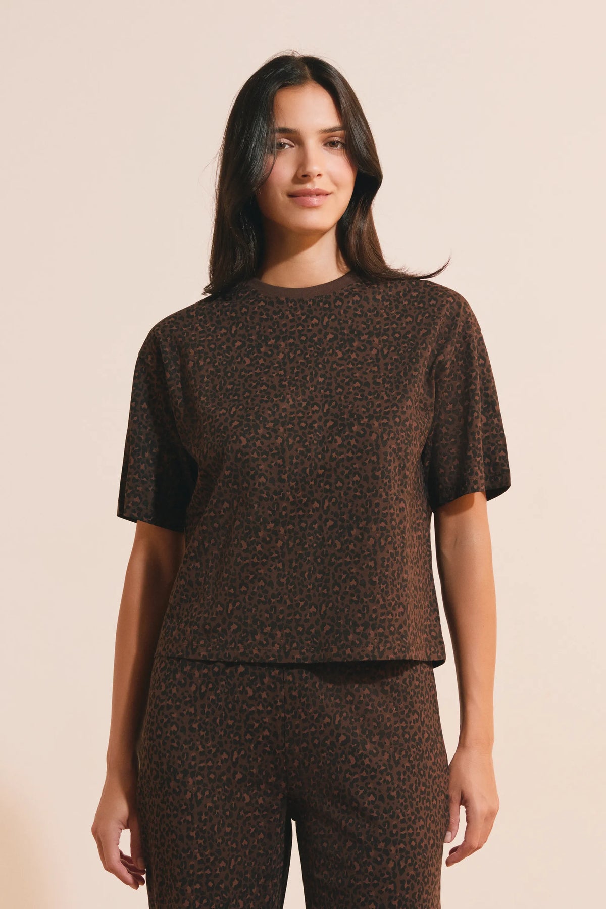 MULTICOLORE